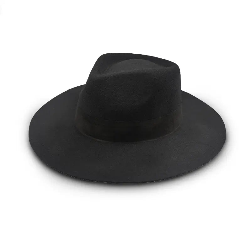 A black felt wide-brimmed fedora with a dark band.