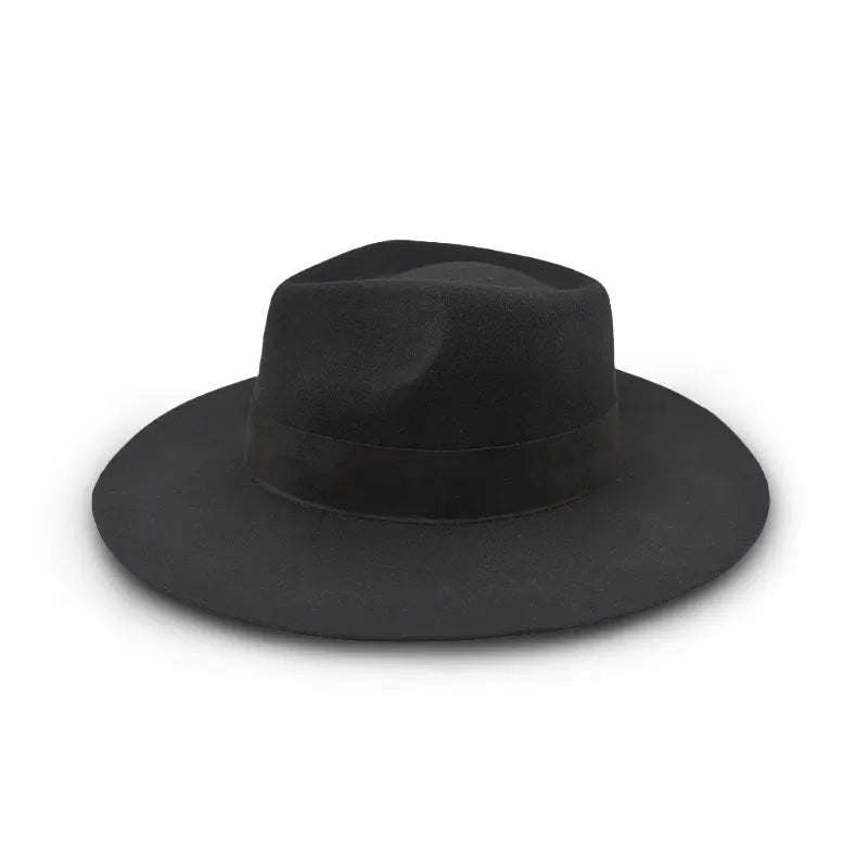 A black felt wide-brimmed fedora with a dark band.